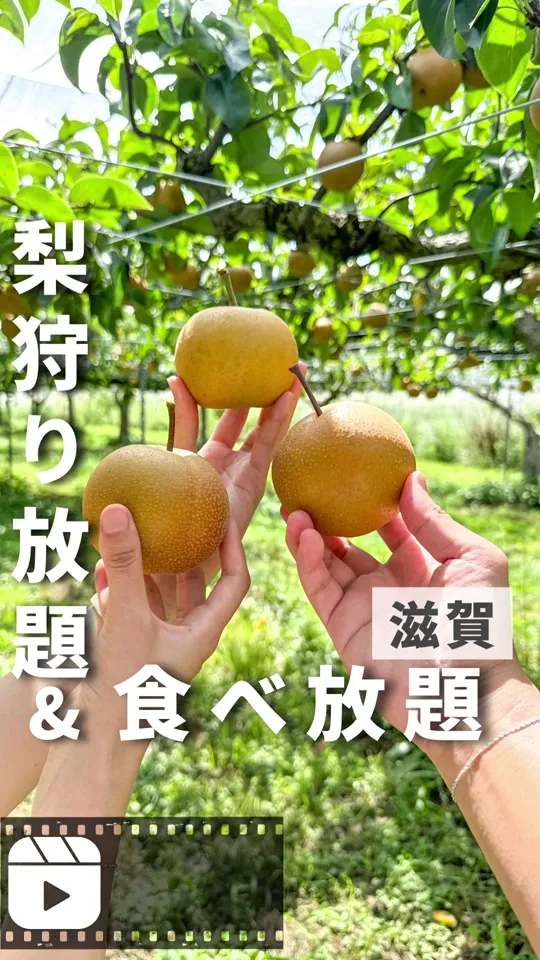 おもて梨キッチン