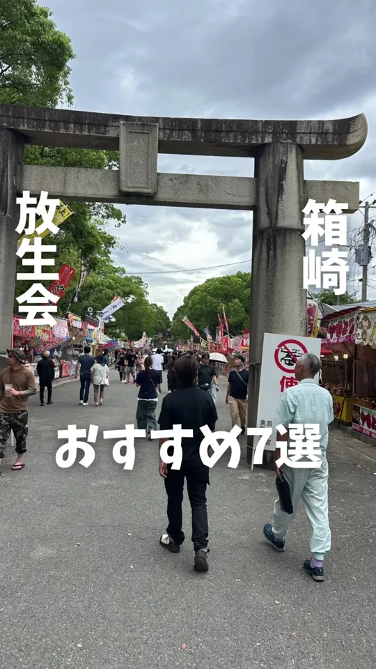 筑前國一之宮 筥崎宮