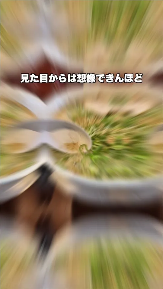 小倉一色亭