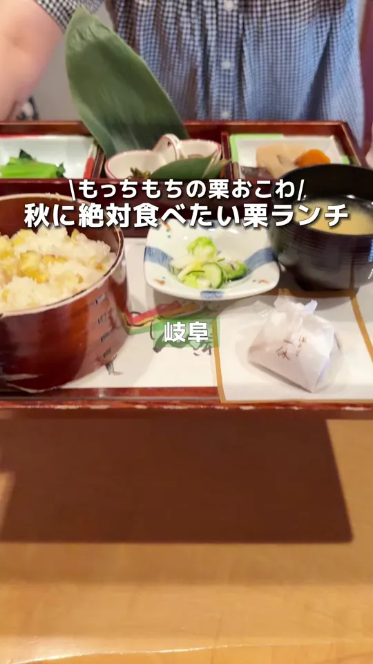 満天星一休 苗木店