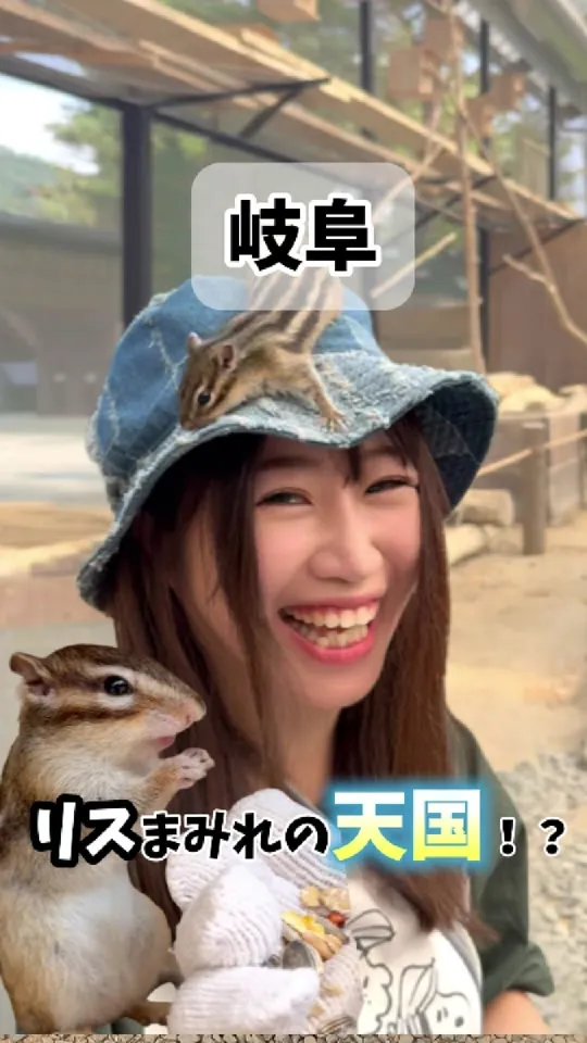 リスの森