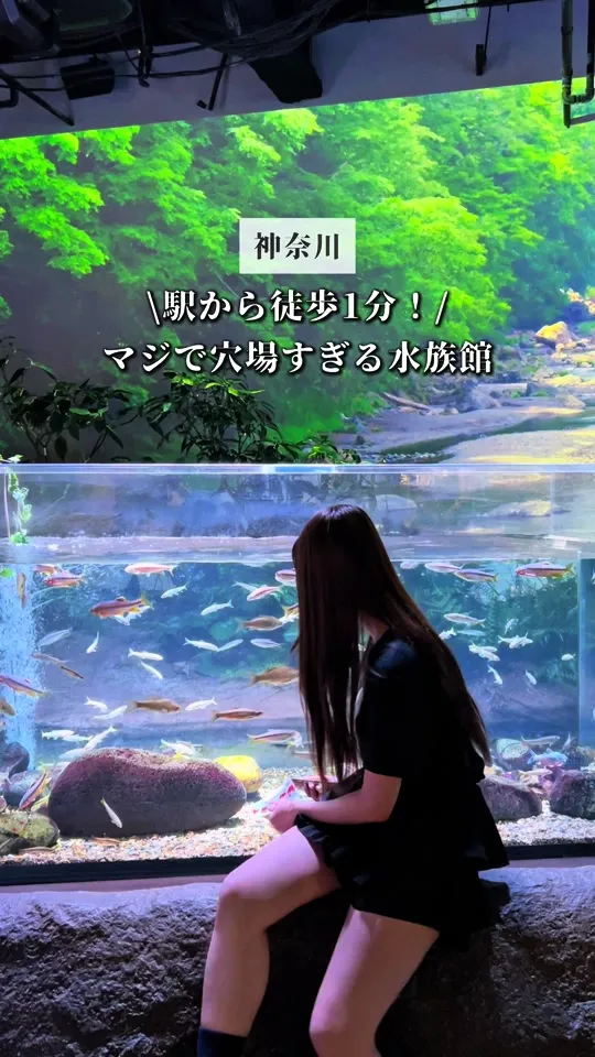 カワスイ 川崎水族館