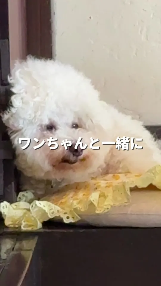 sou's coffee roastery