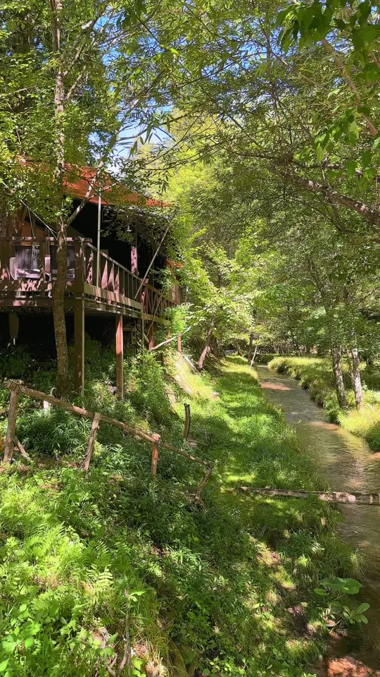 スイッチバック