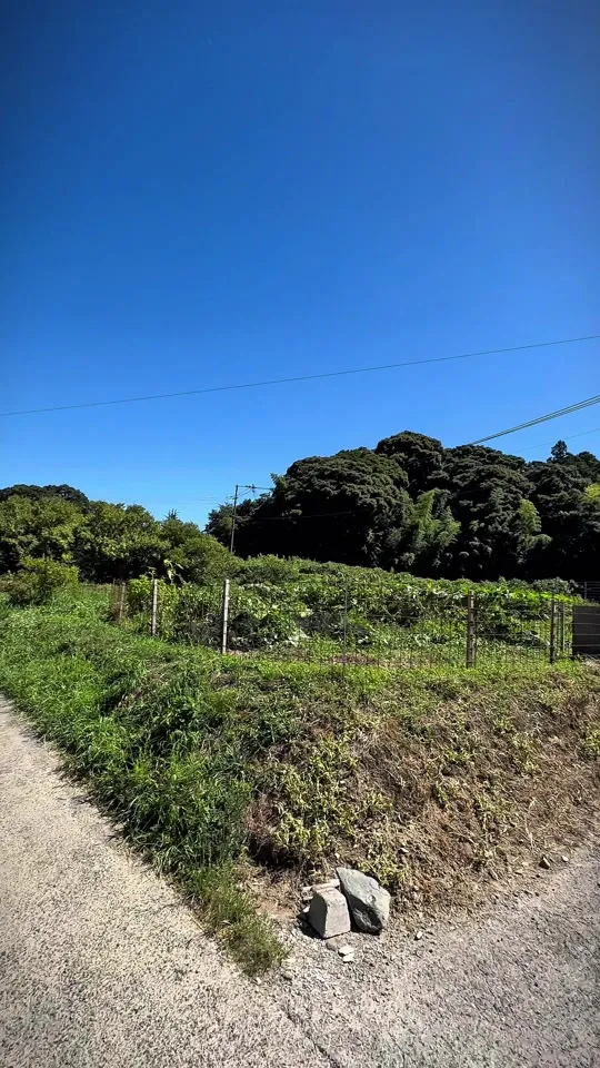 福本工房 福ちゃん饅頭