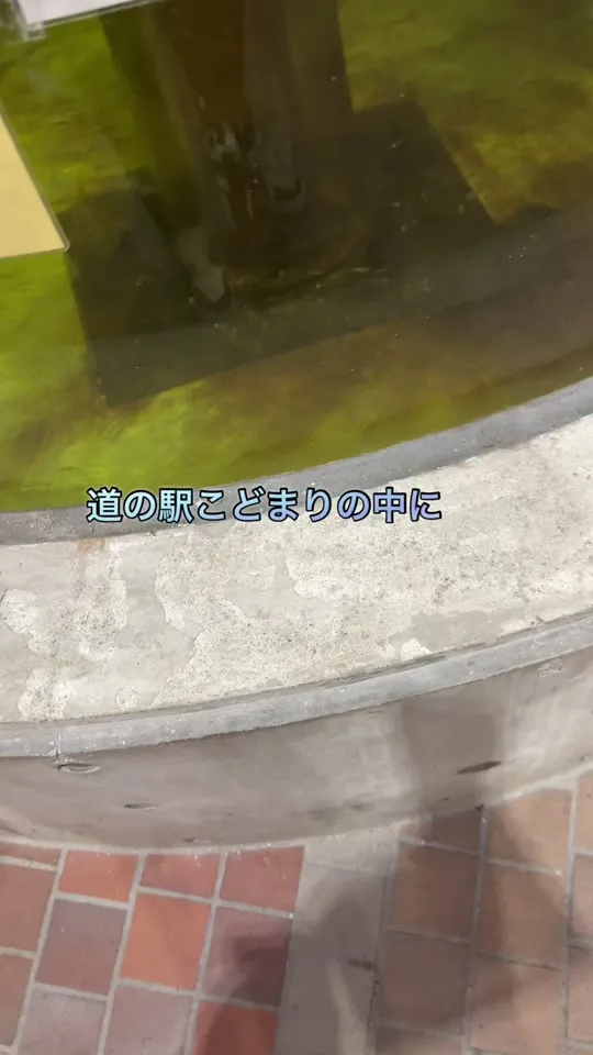 レストラン竜泊