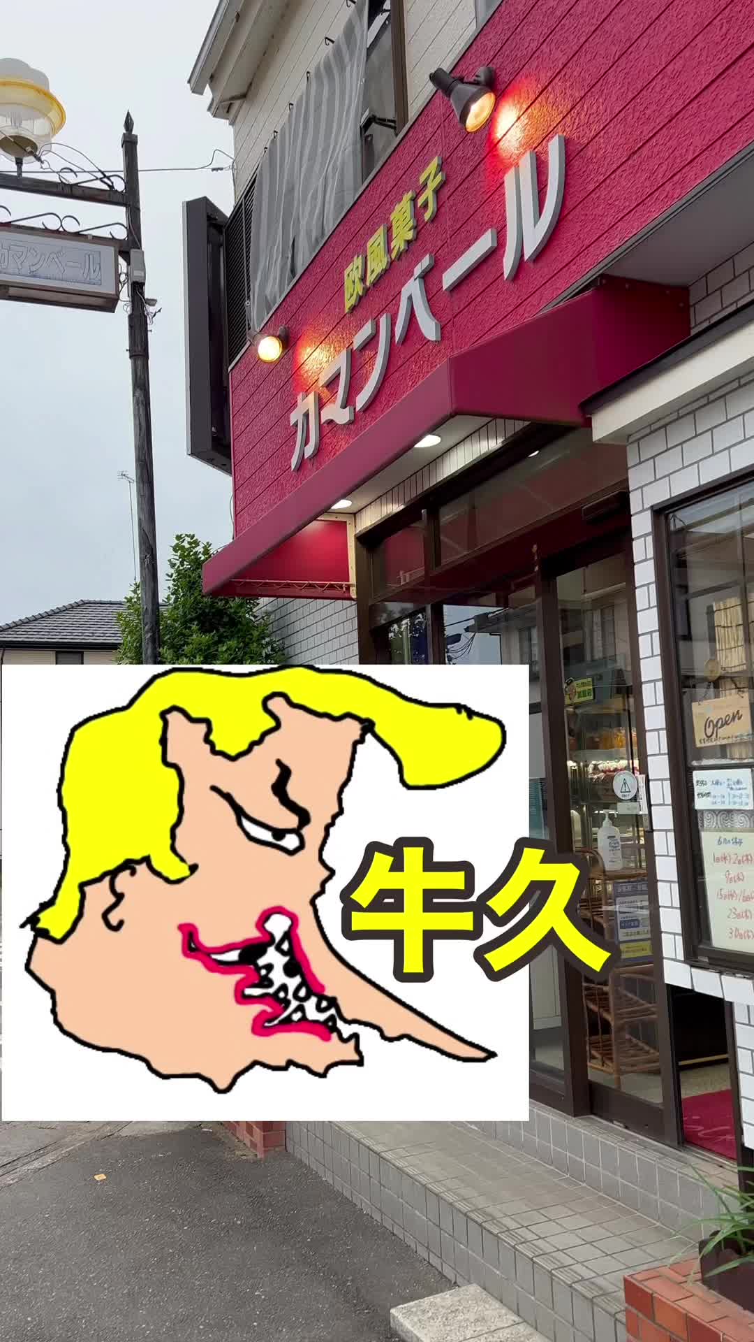 欧風菓子 カマンベール