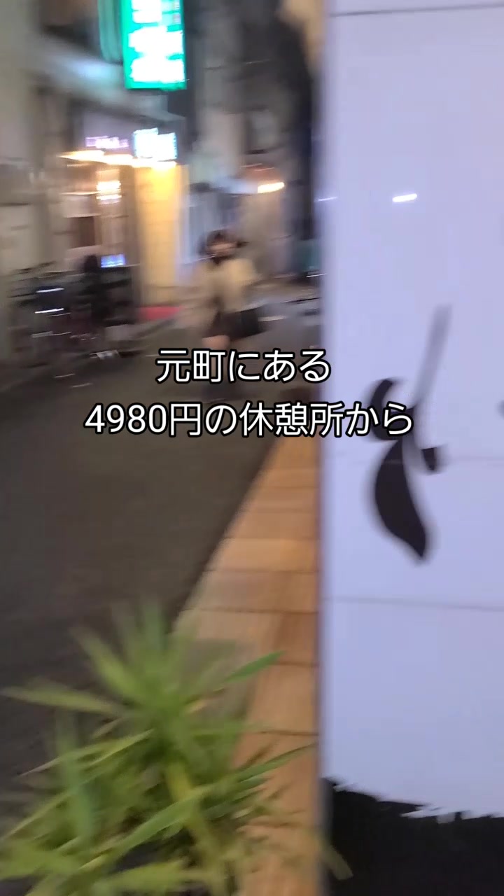 広東料理 順徳