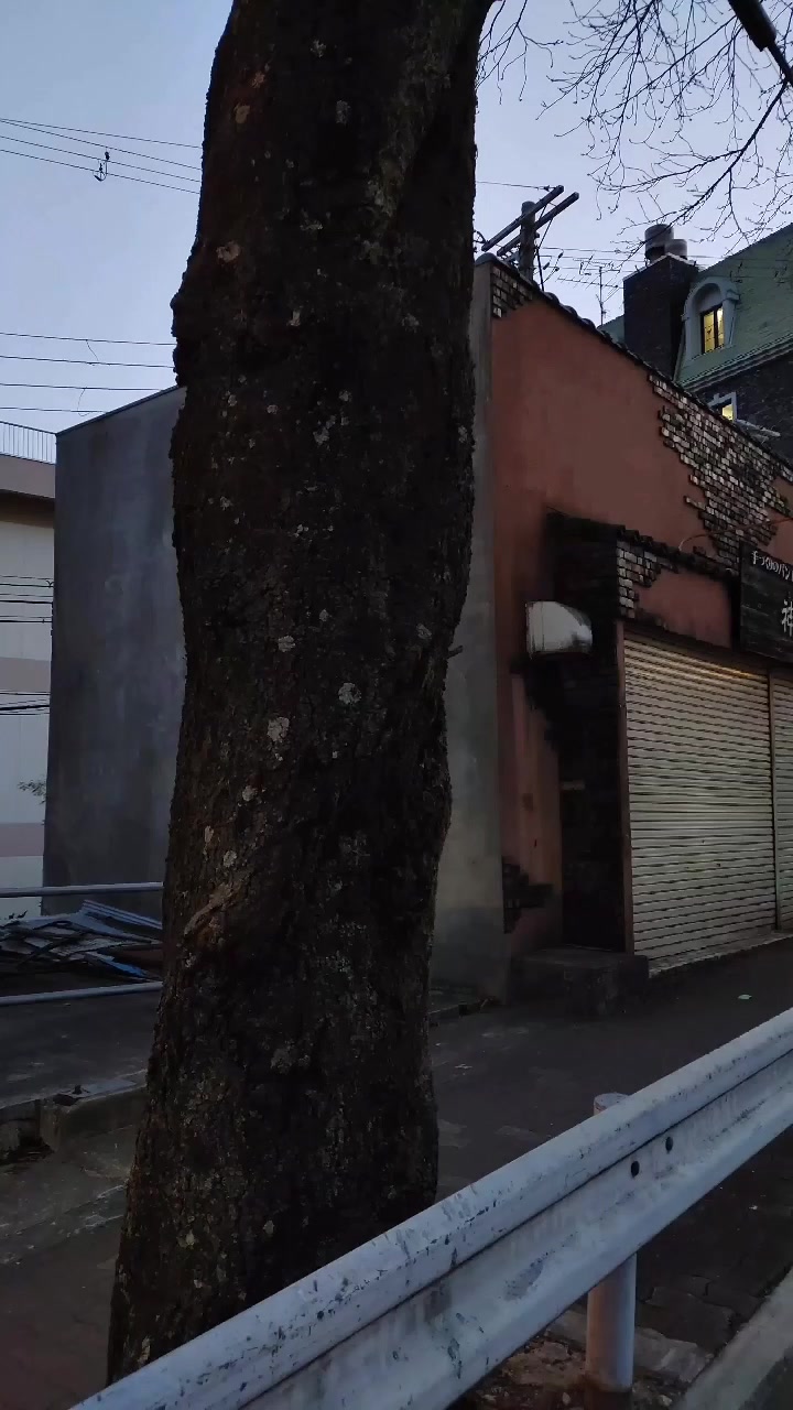 ひろ