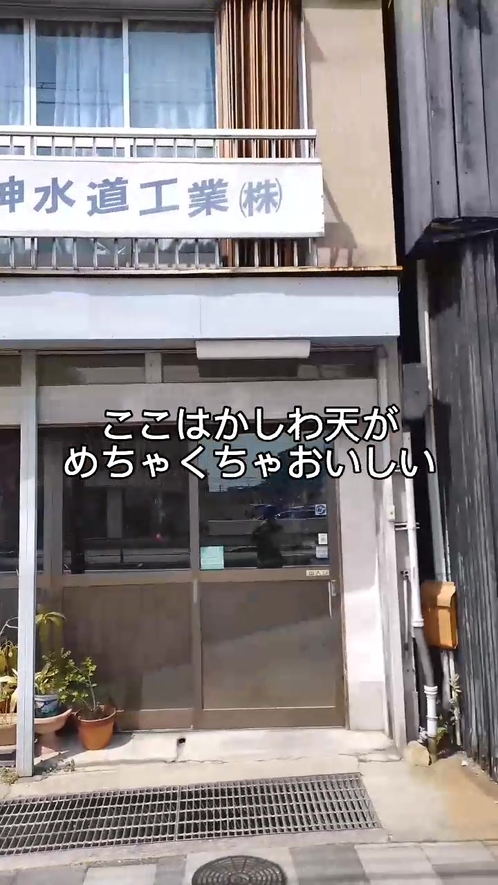 小麦の実り