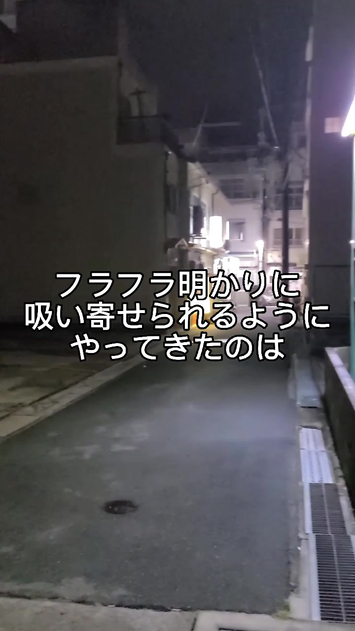 韓日ダイニング 一休