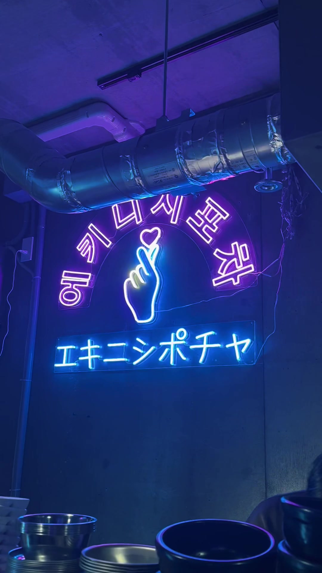 エキニシポチャ