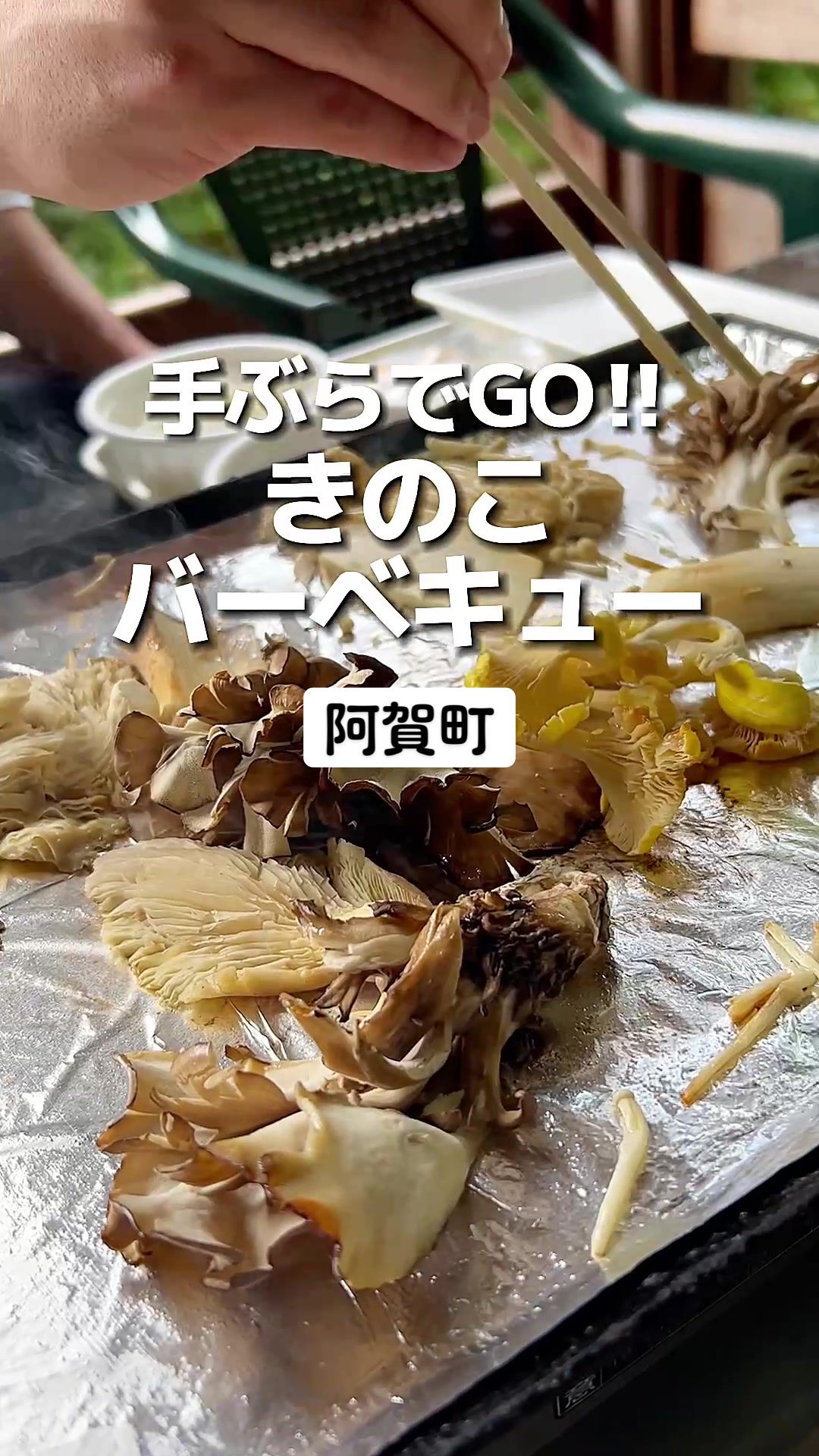 三川観光きのこ園 & カサブランカ園
