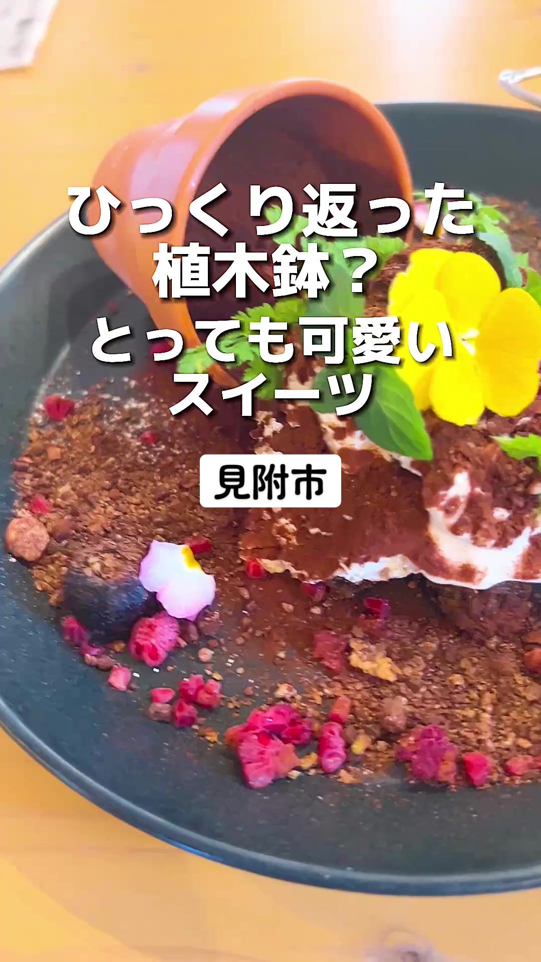 MEG CAFE 511