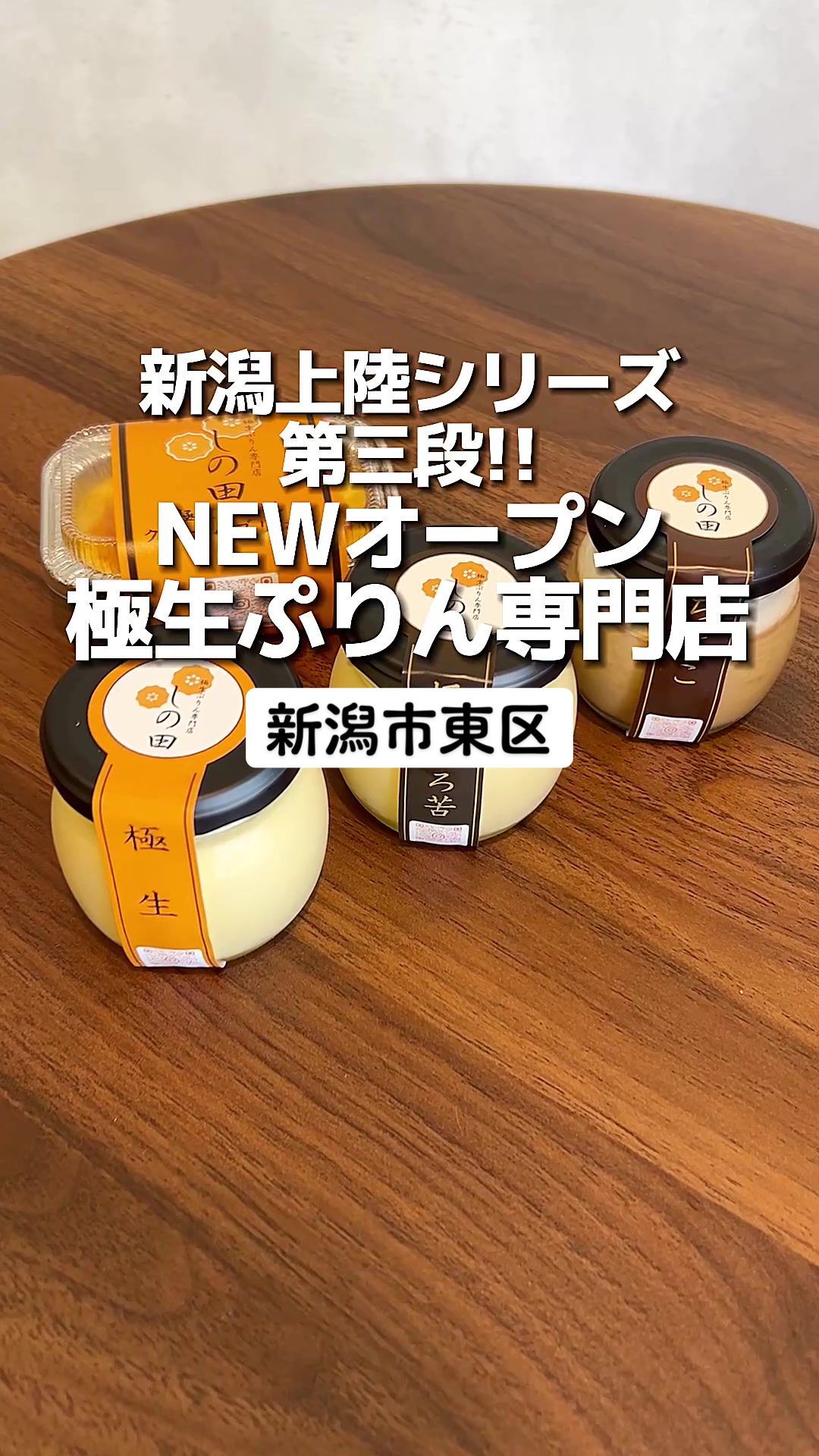 極生ぷりん専門店 しの田