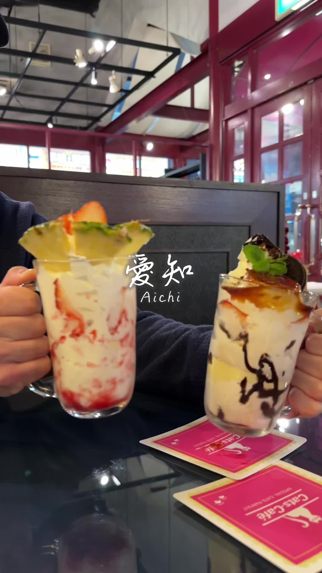 キャッツカフェ港店
