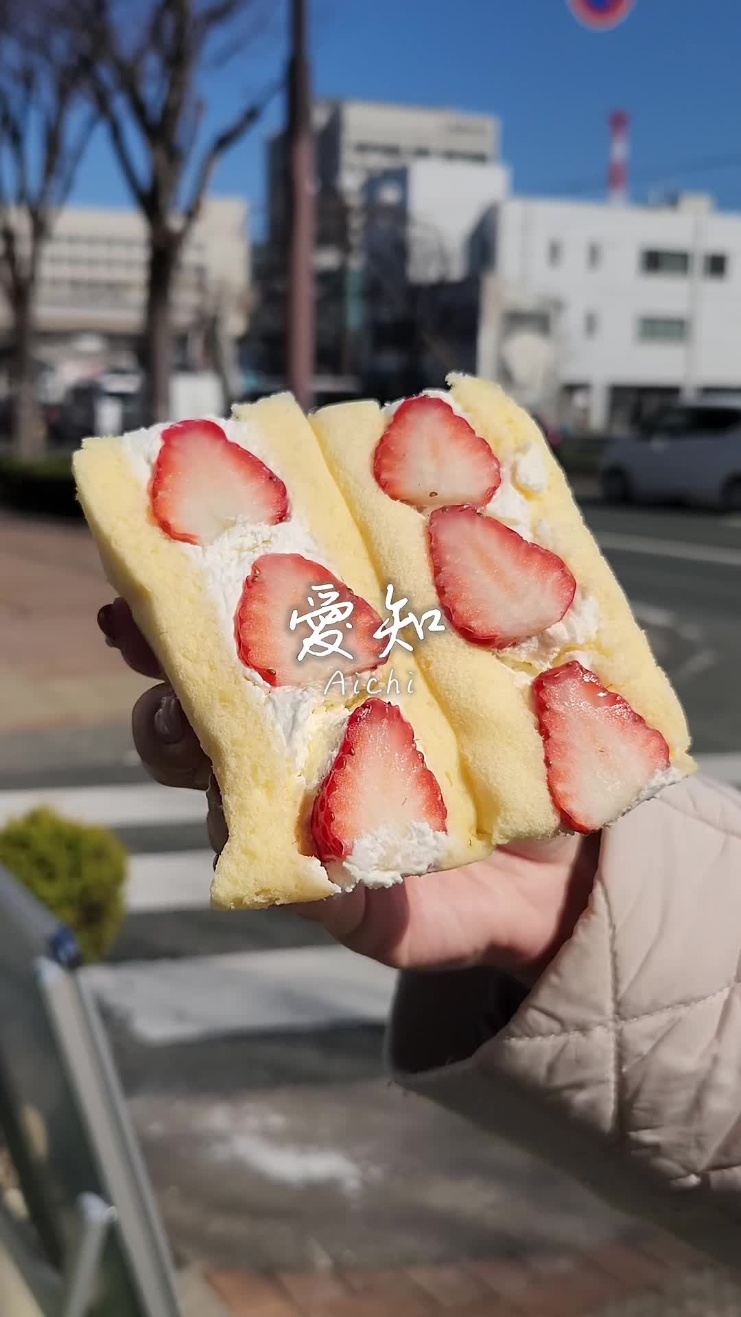 ボンとらや東田店