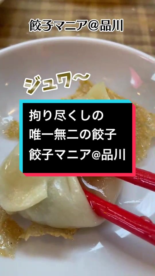餃子マニア 品川本店