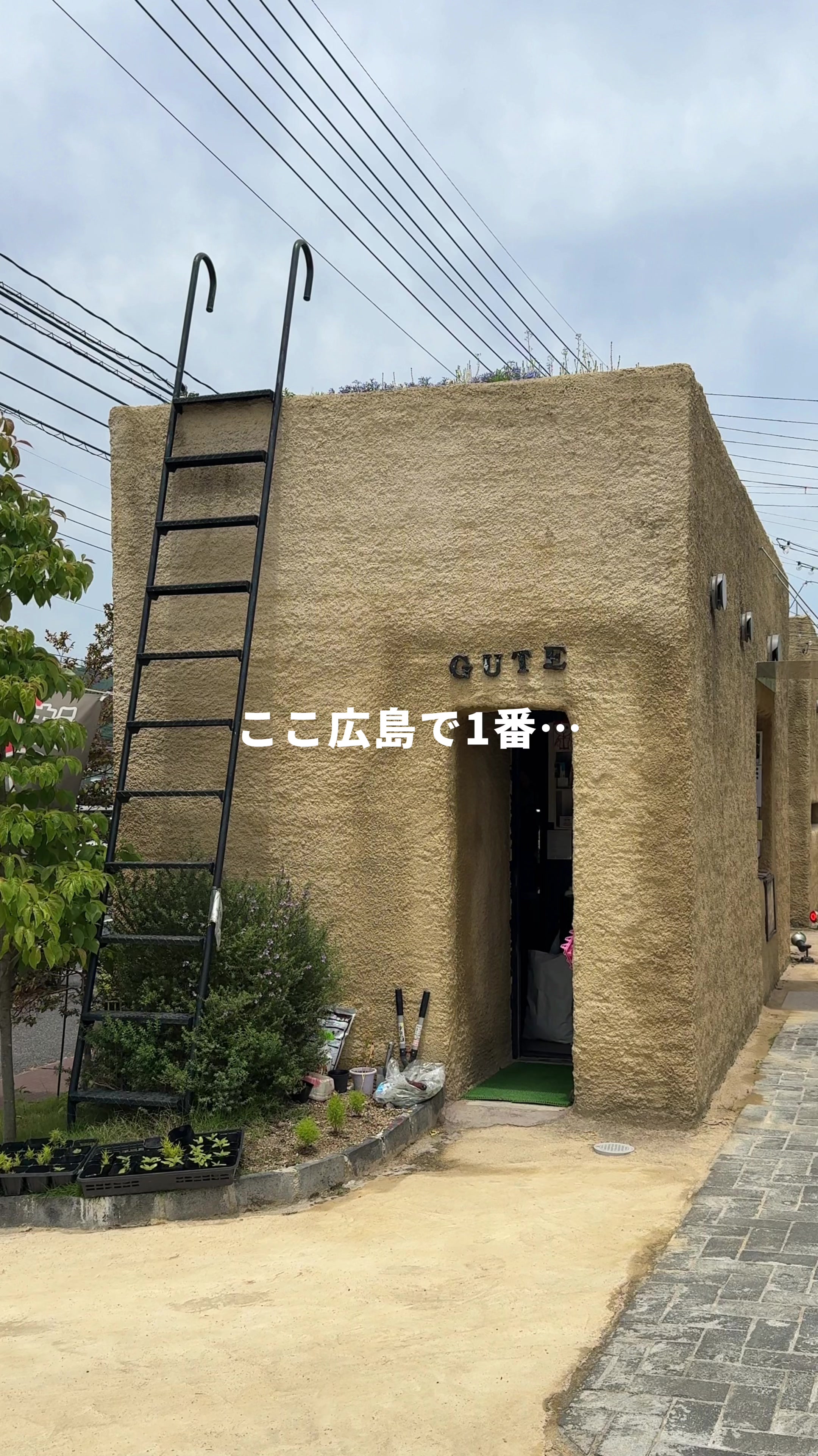タコハウスgute