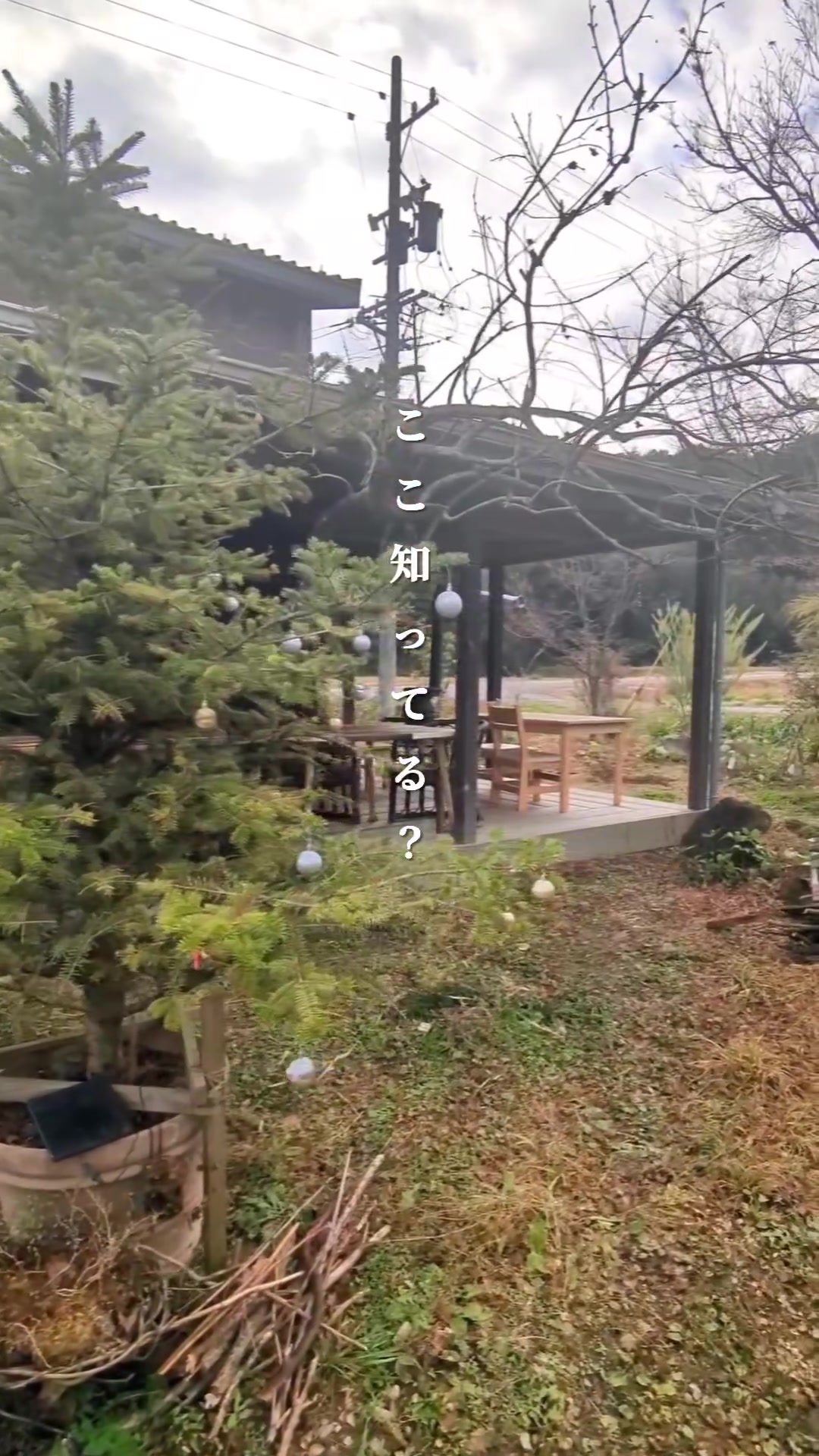 里山カフェ Universal