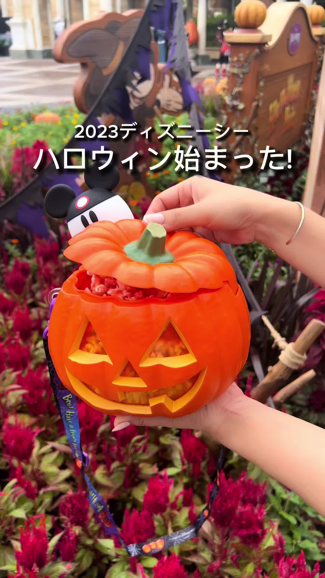ケープコッド・クックオフ