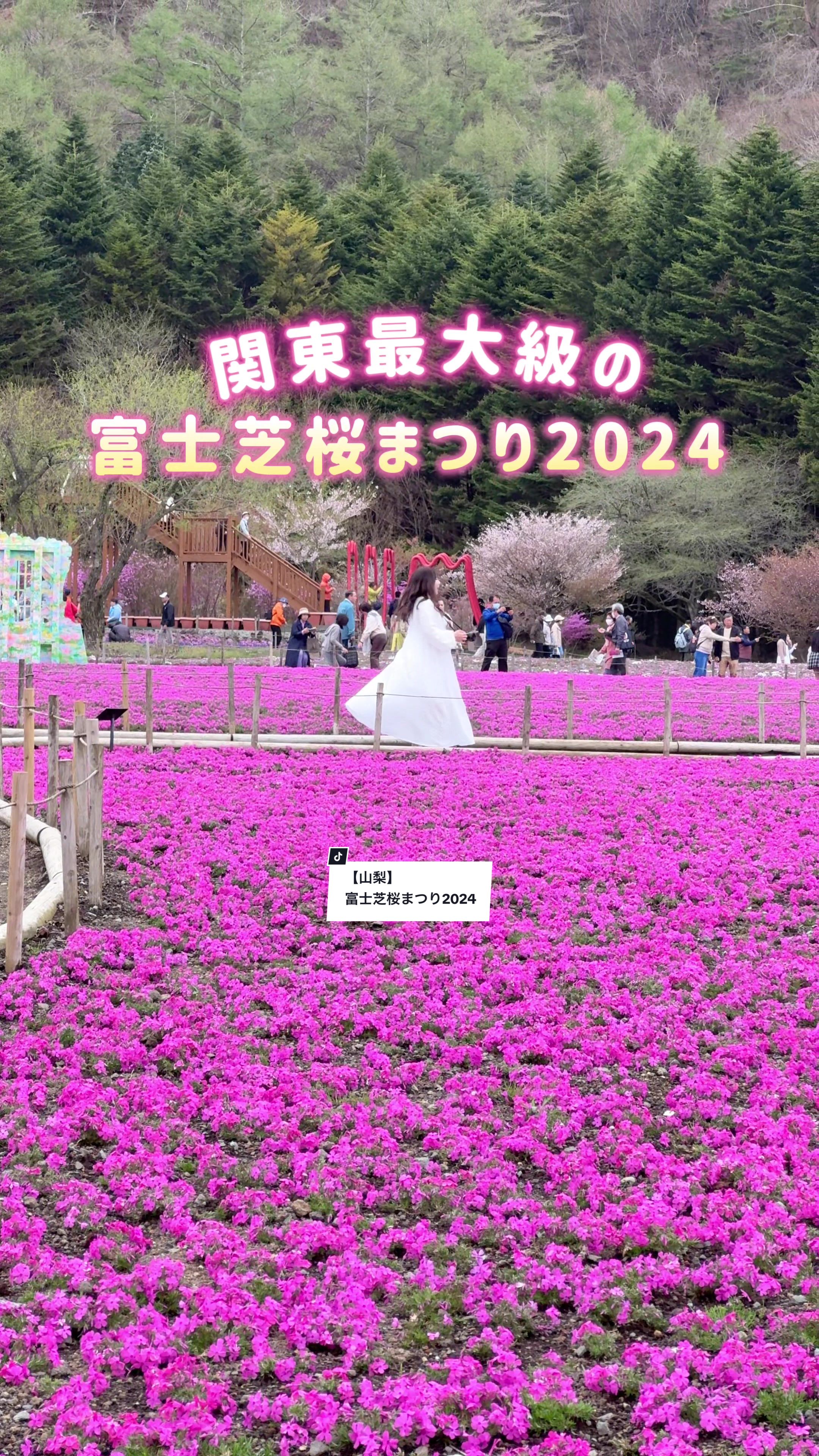 富士河口湖町