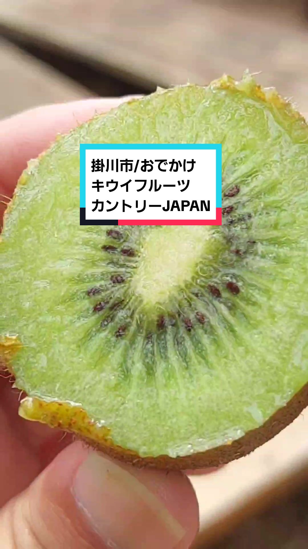 Japanese green tea & Kiwi Farm キウイフルーツカントリーJapan
