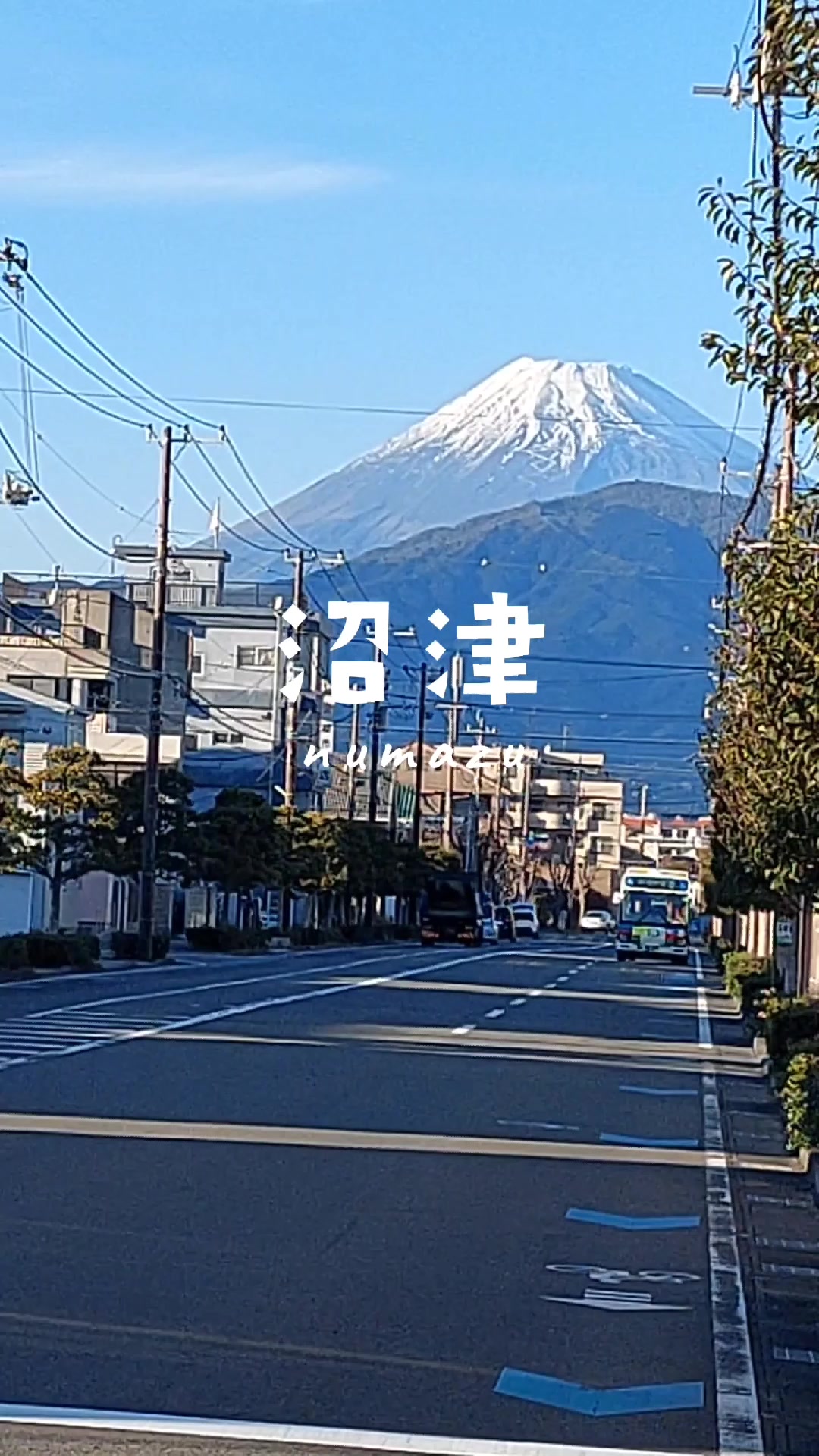 ひもの和助