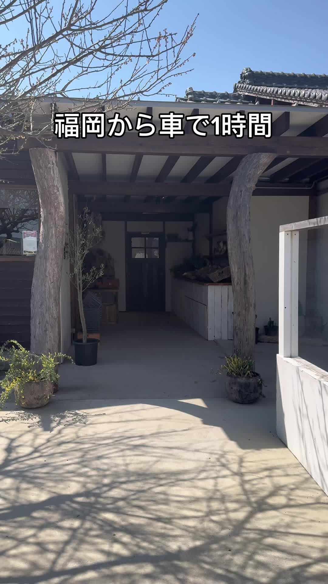 アプテカ・フレーゴ