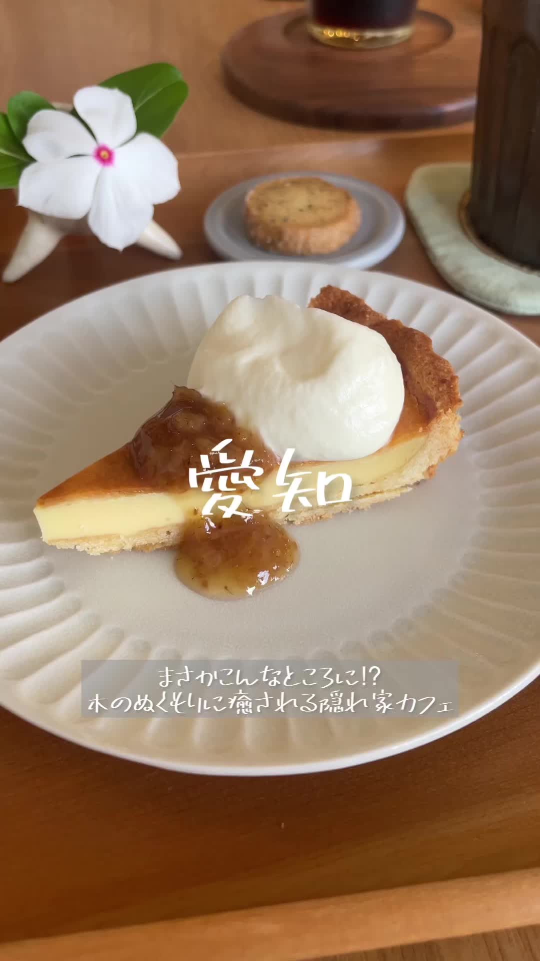 konon 木の音