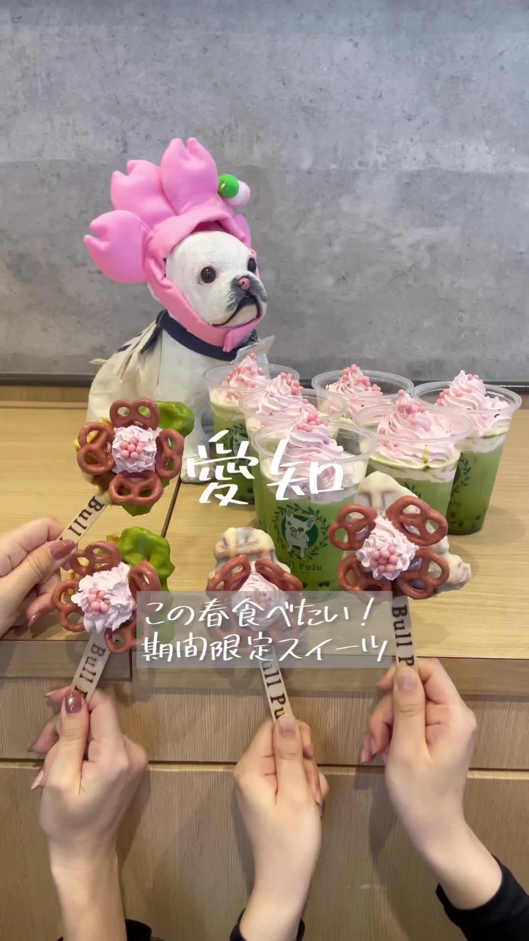 Bull Pulu 豊橋ココラアベニュー店