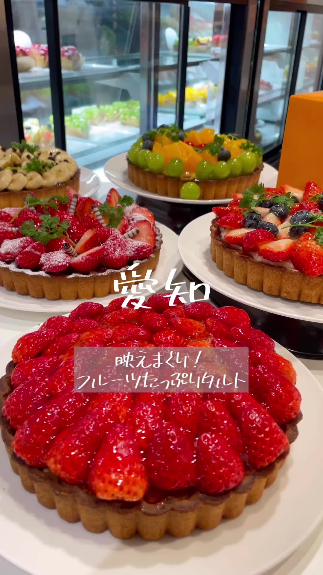 トルタイシーオ 岡崎店