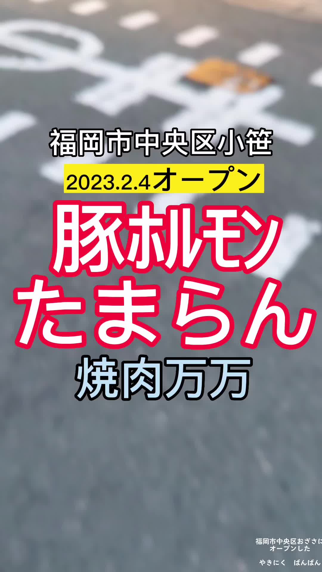 やきにく 愛しのヨーコ