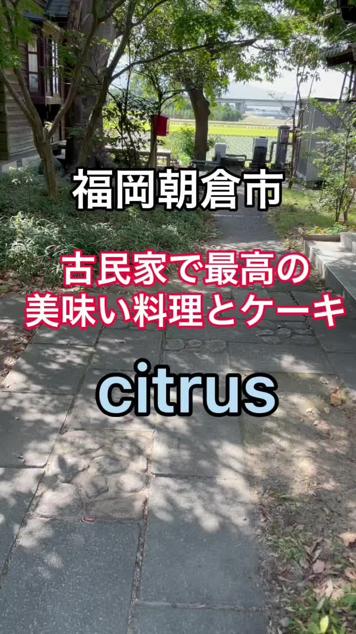 Citrus（シトラス）