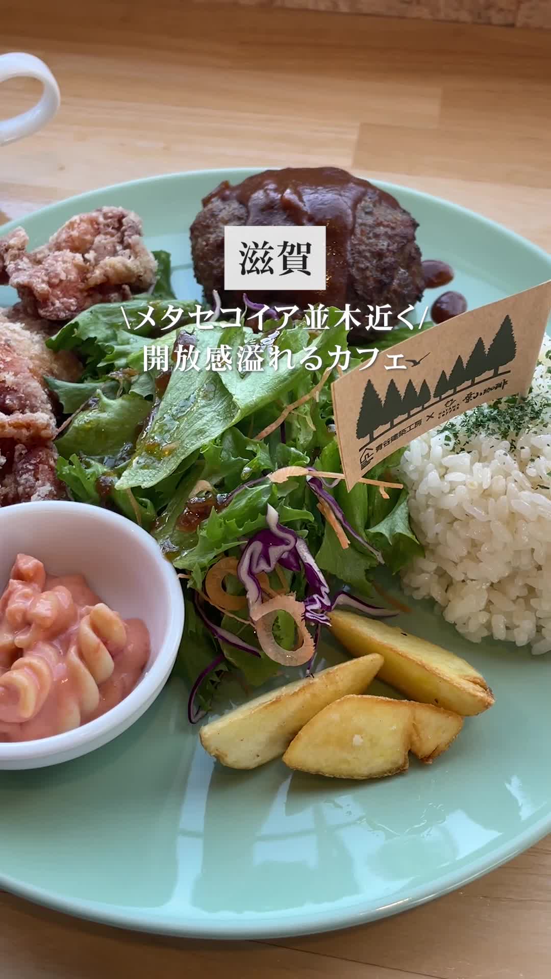 メタセコイア並木道