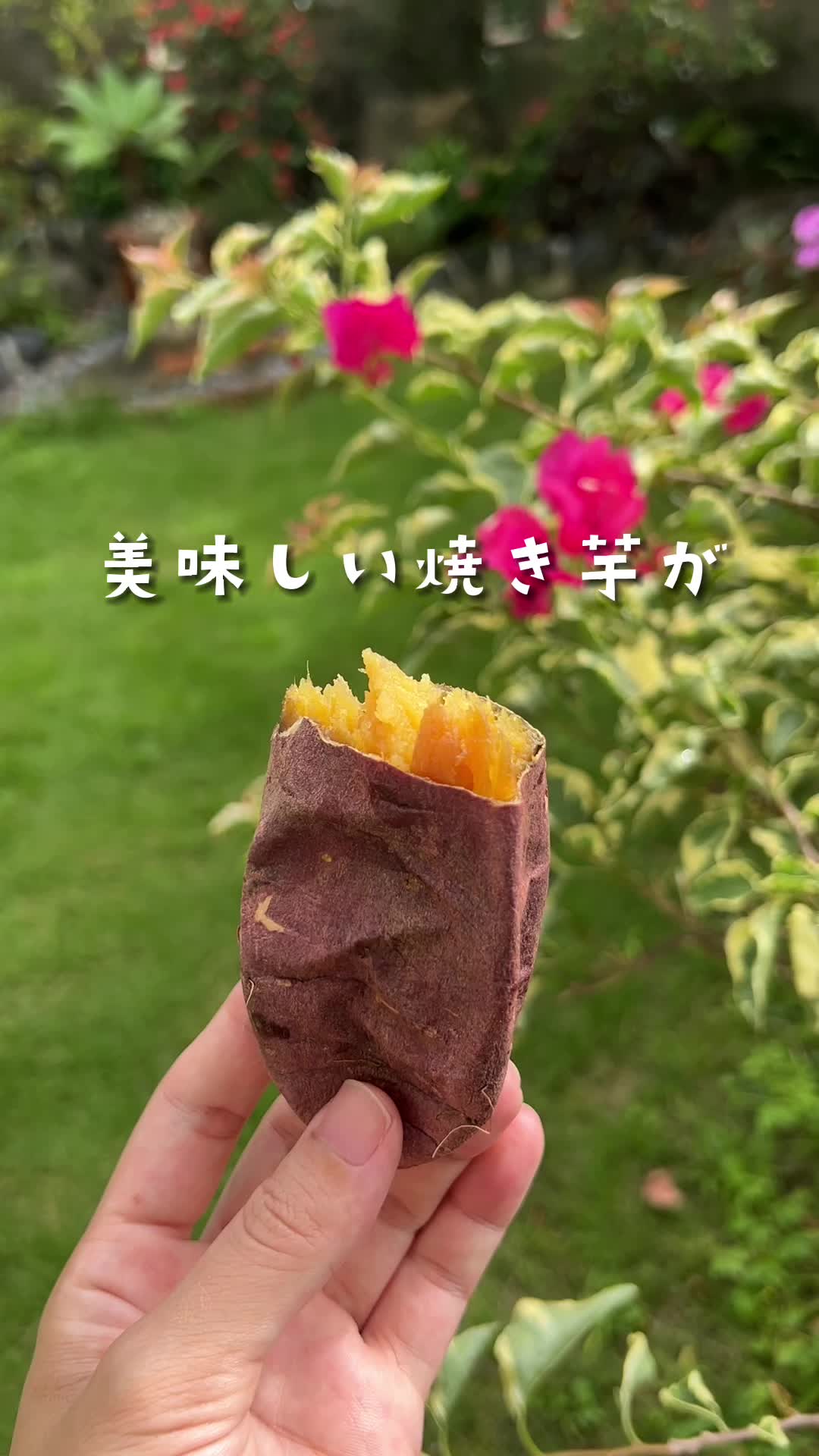 『壺やきいも専門店』くり太郎