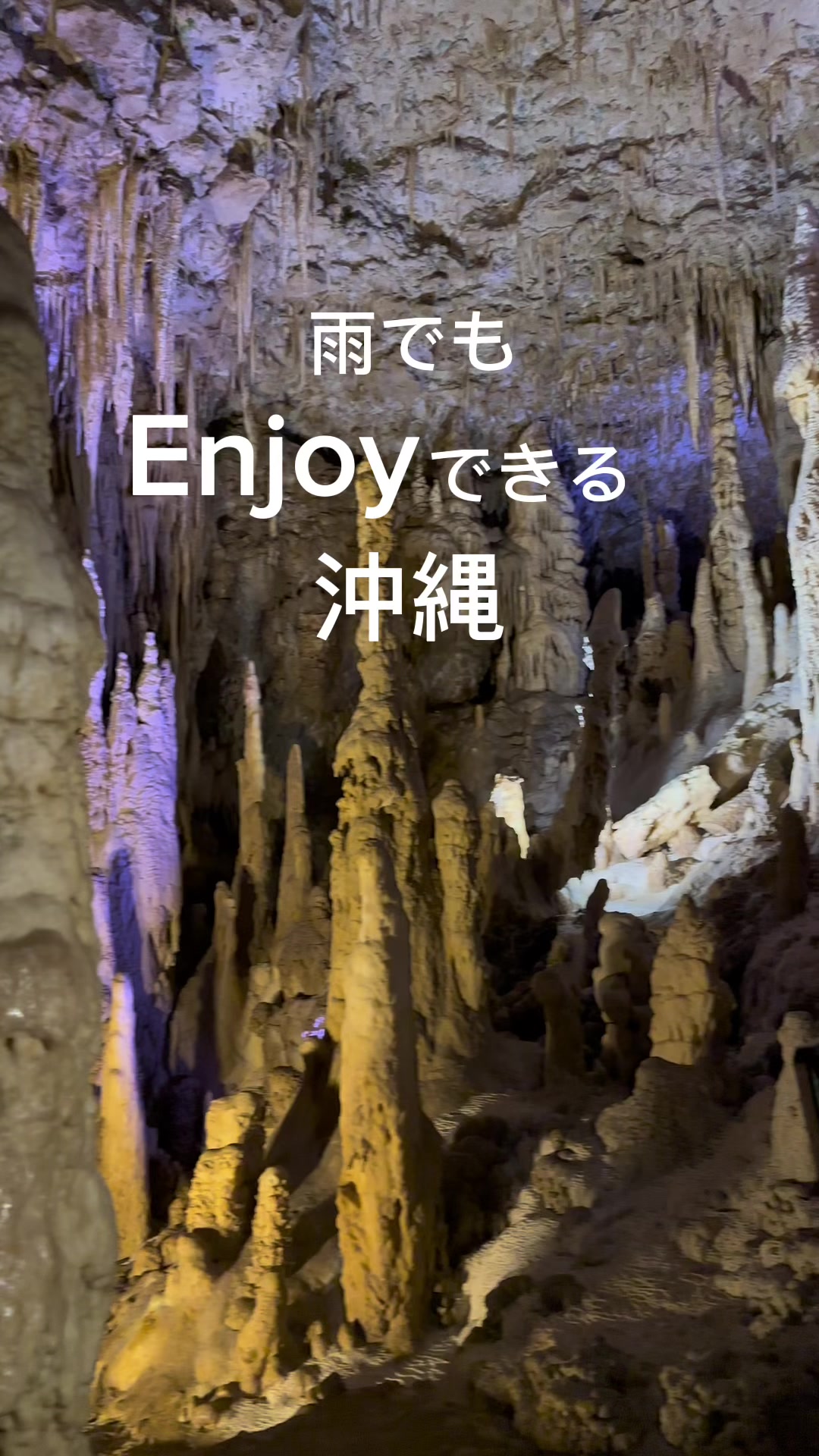 沖縄そば自慢 なんと屋