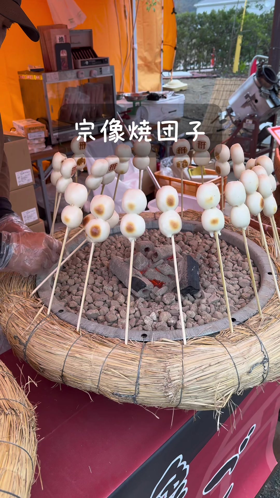 田島２３３１