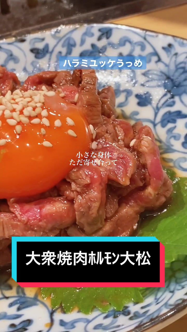 大衆 焼肉ホルモン 大松 西宮北口店