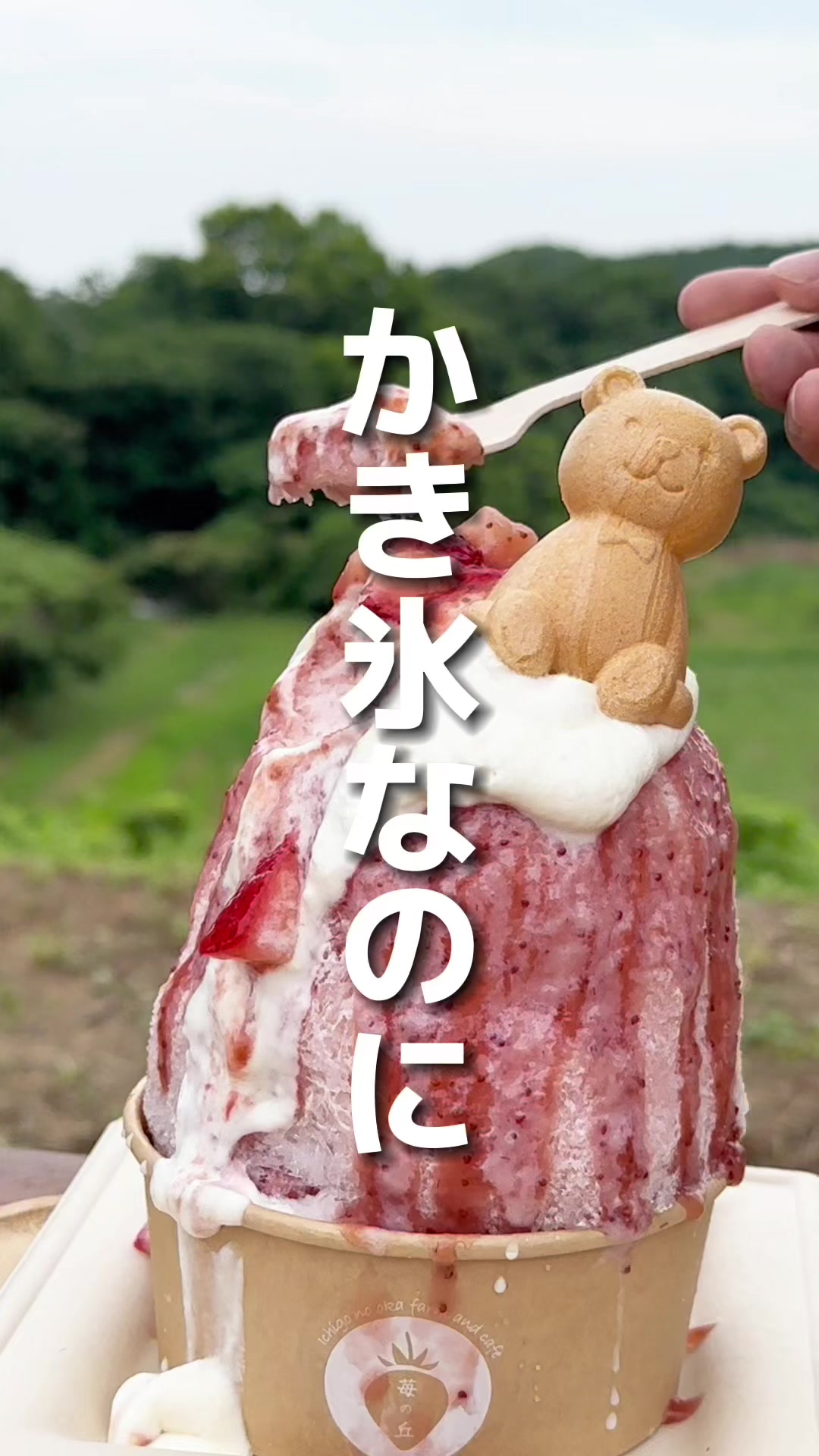 苺の丘 farm and cafe