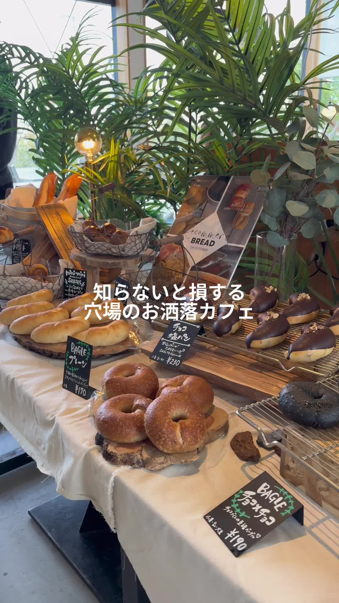 パンドーラ―
