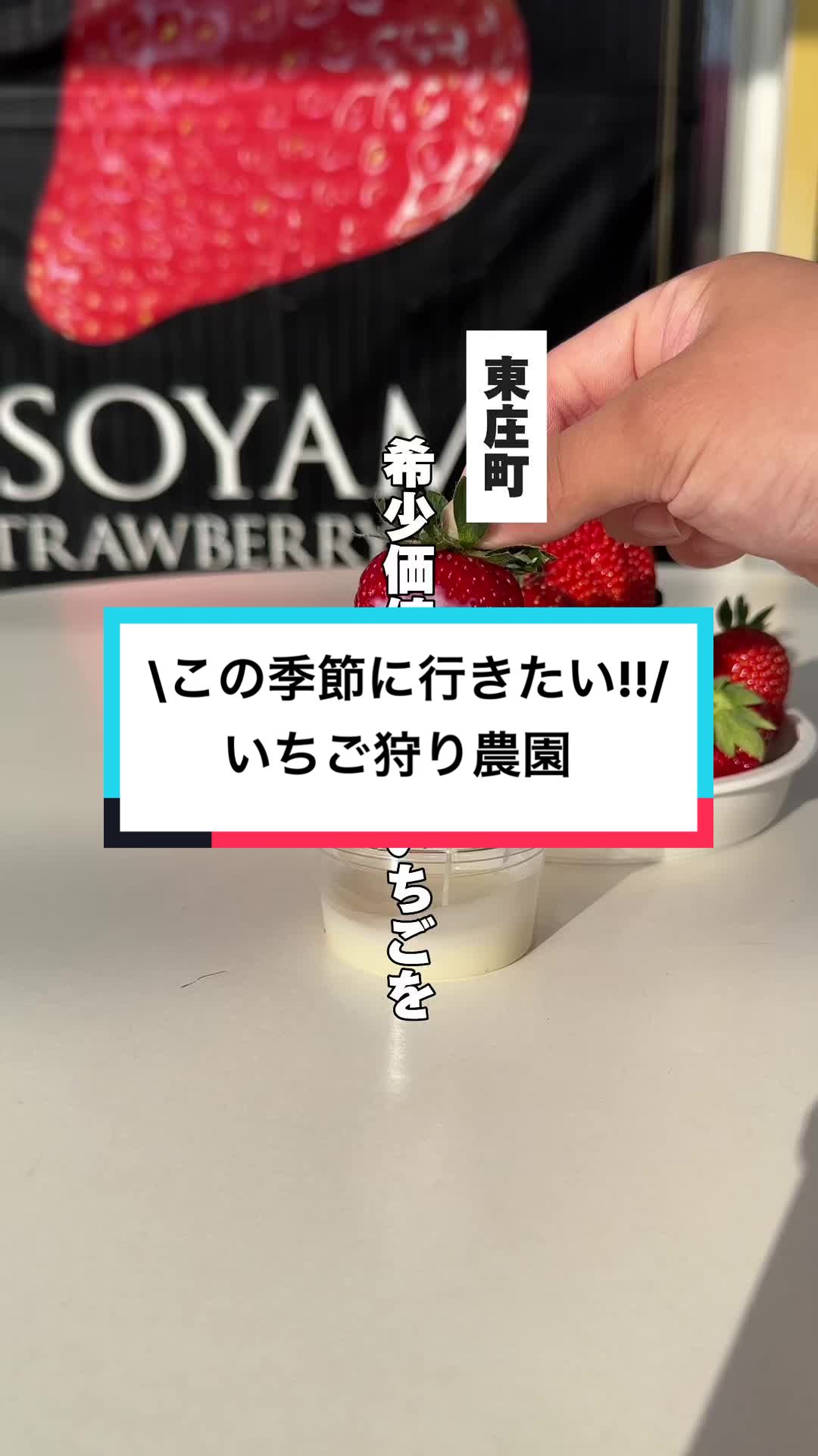 磯山観光いちご園