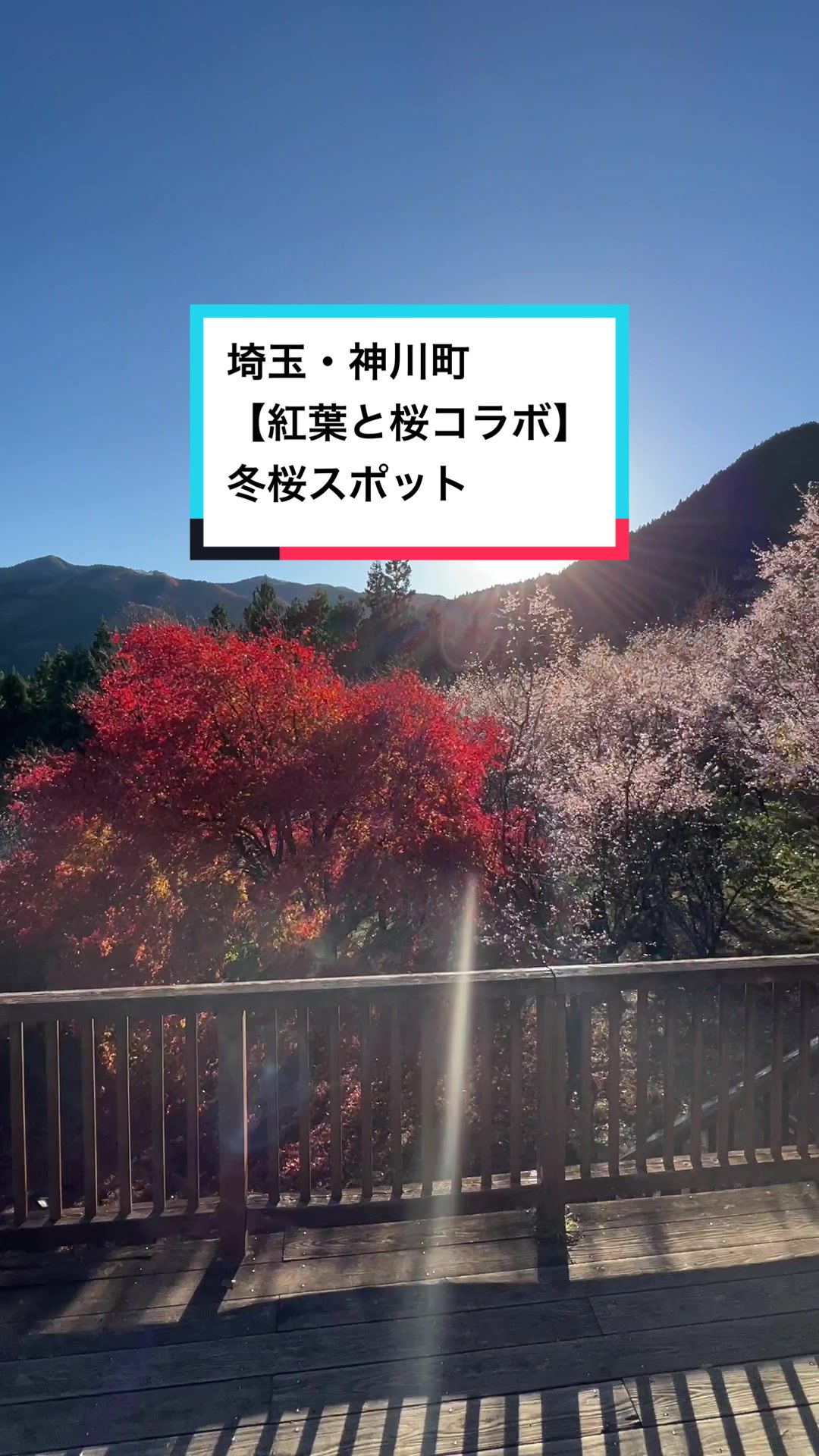 町立城峯公園