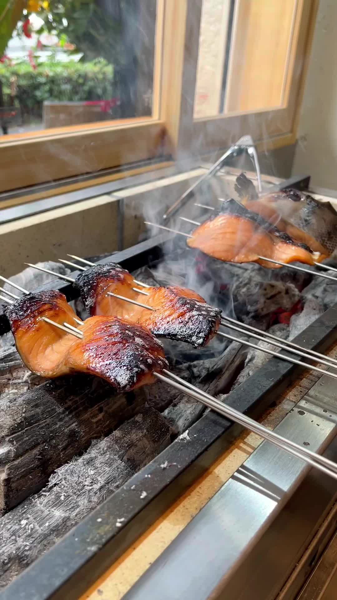 魚と魚