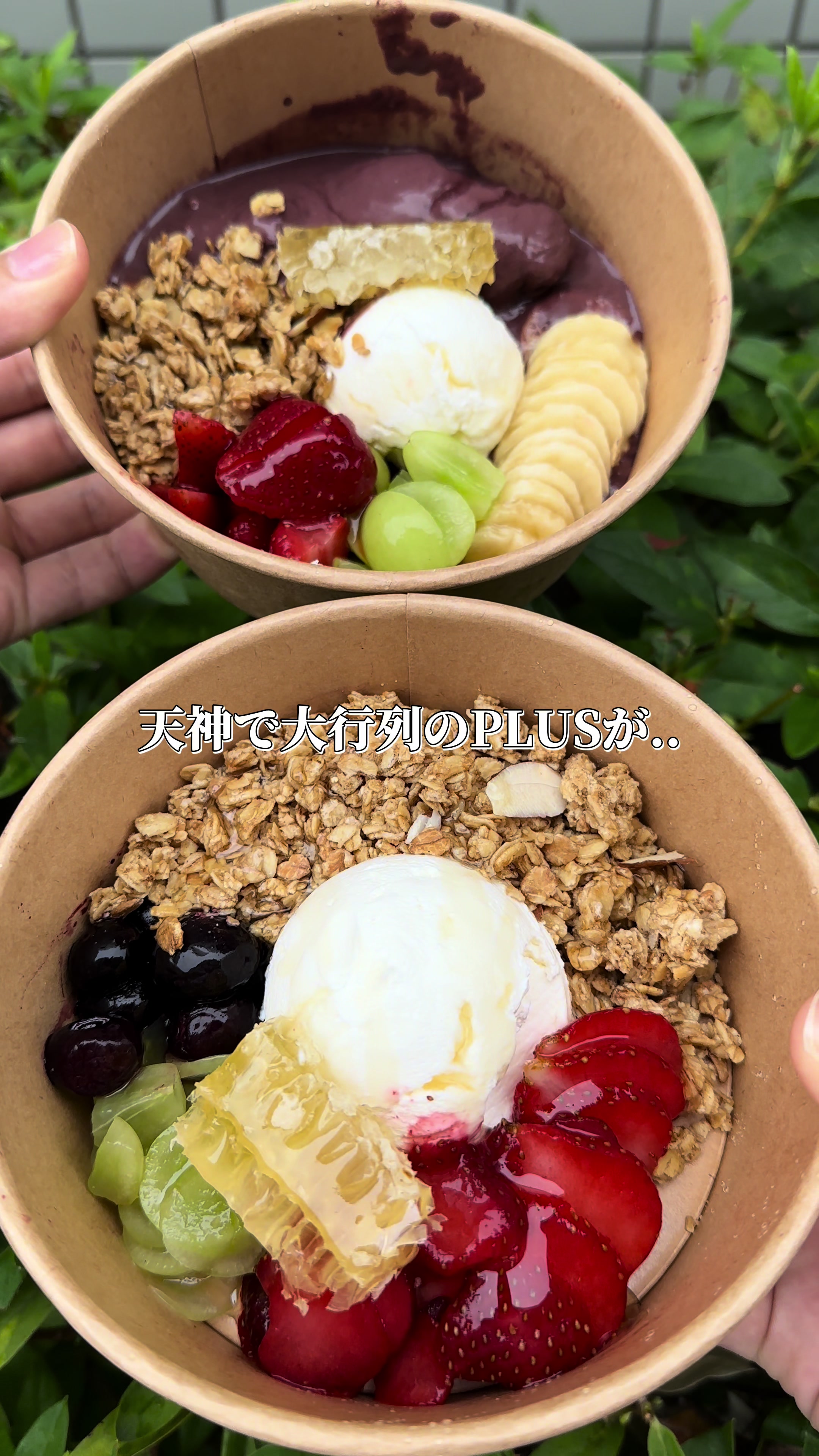 スポーツオアシス住吉24Plus