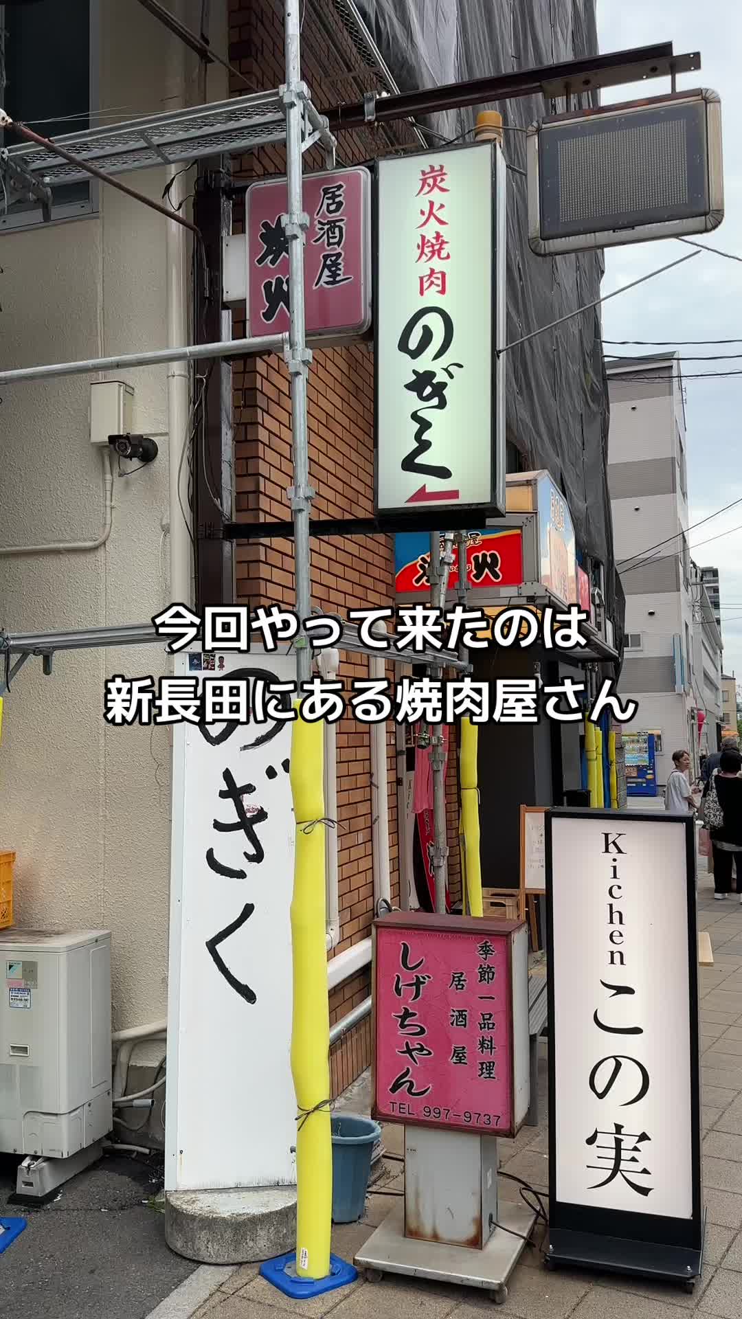 のぎく