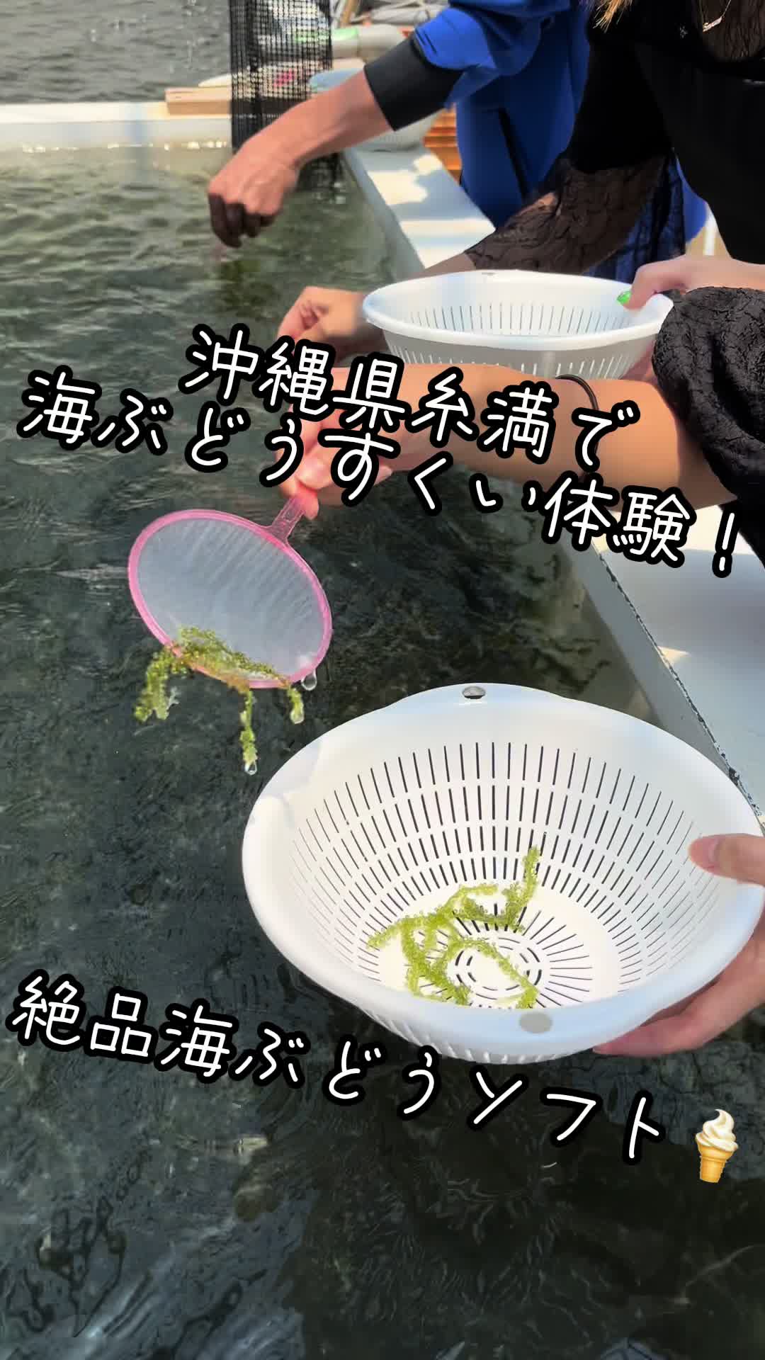 海ん道