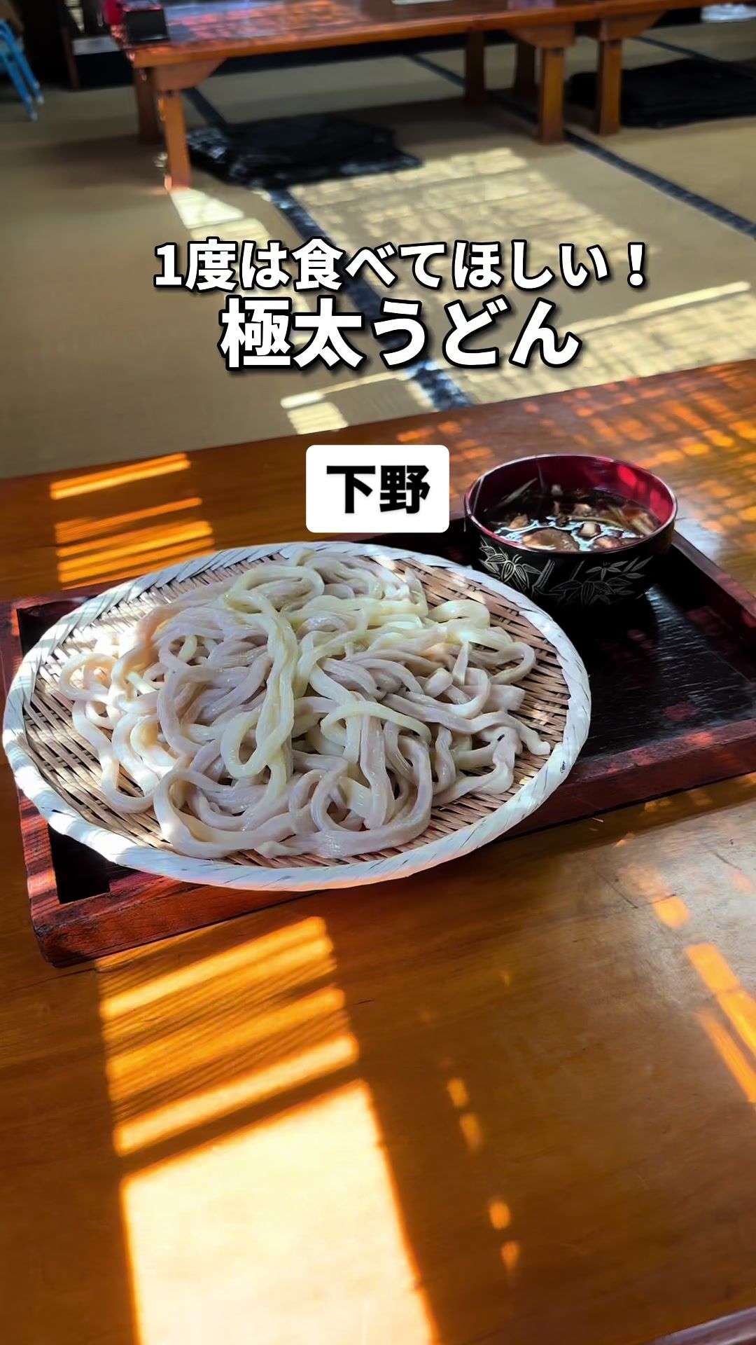 田舎うどん 力