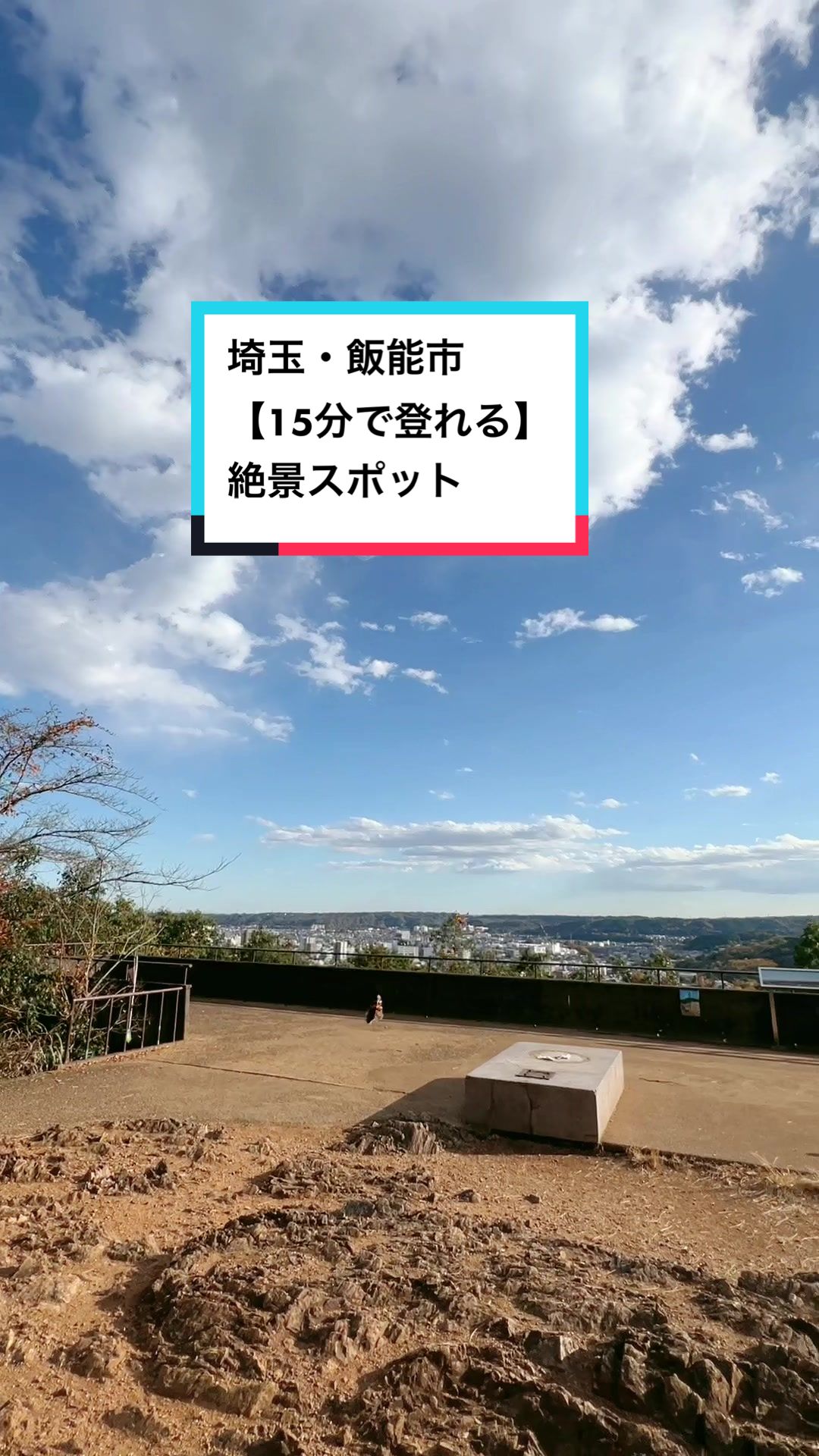 天覧山