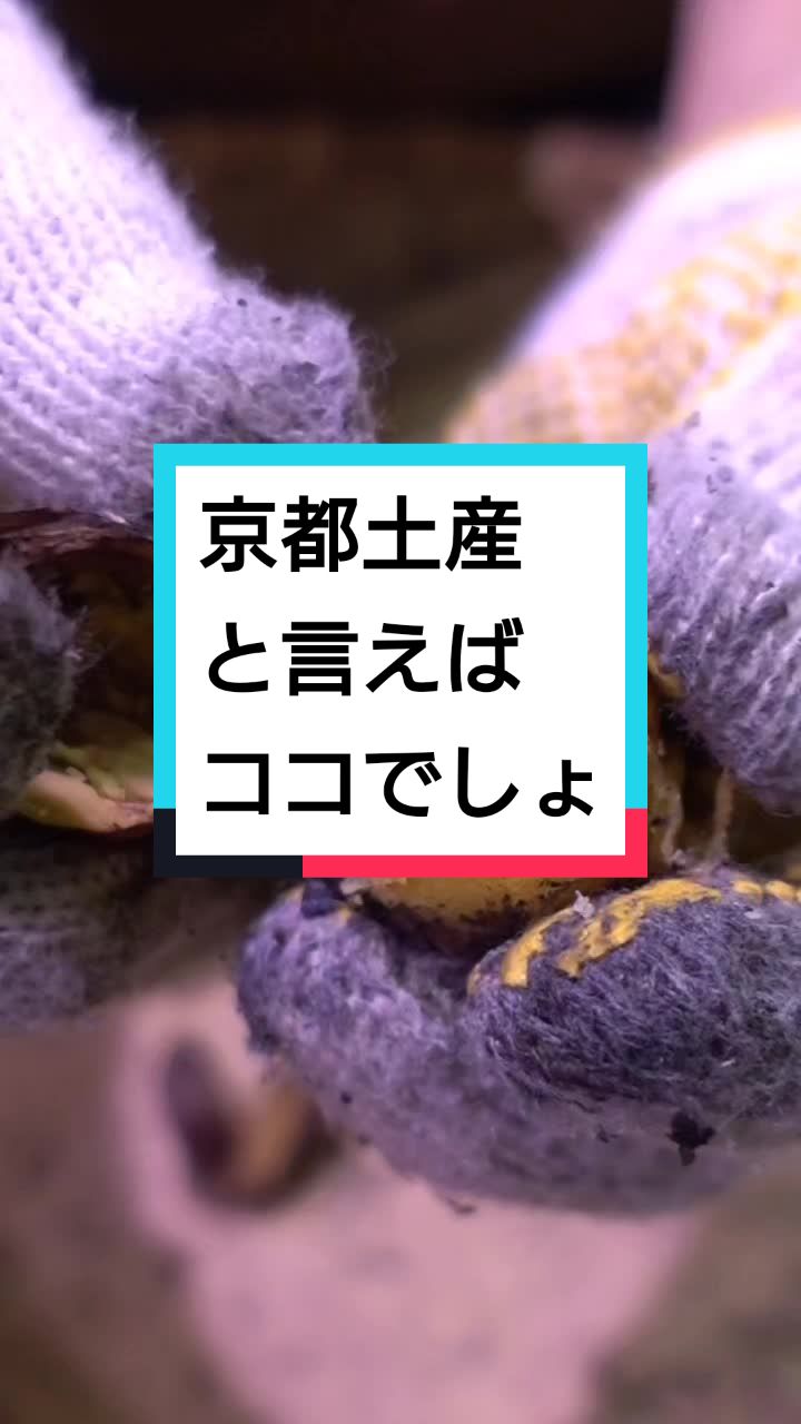 京丹波町